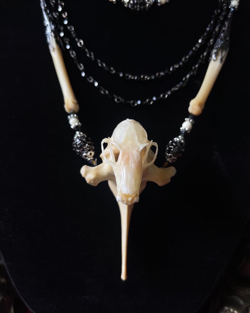 Image of Fruit Bat Skull - Layered Necklace 