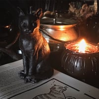 The Wytches  Cat 