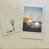 Image 3 of Coin Pearl Earrings with Gold Filled hooks