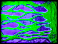 Image 17 of ToxicC II UV 3XLT