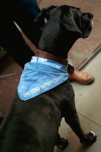 Image 3 of MOJAVE cotton bandana 17