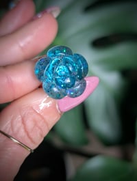 Image 9 of Mini Succulent Collection 