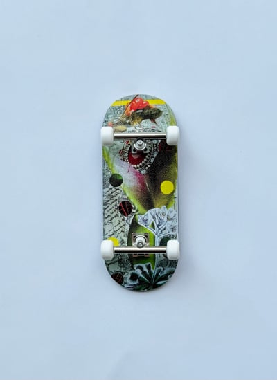 Image of Venus Flytrap complete