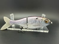 Image 3 of 6” Trick Shad Repaint 