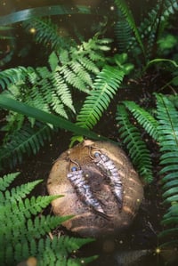 Image 1 of Fern Portal Earrings 