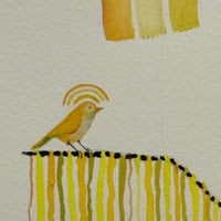 Image 4 of “bird is the word”