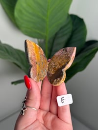 Image 5 of CHOOSE YOUR OWN UNICORN JASPER BUTTERFLIES