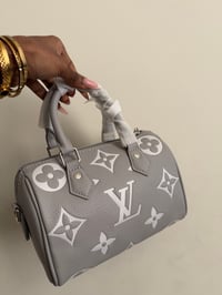 Image 3 of LV nano speedy bag
