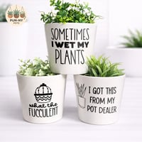 Fan Favourites Pack 🌱3 Funny Plant Pots - Bundle Deal