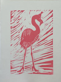 Image 4 of Party Flamingo