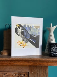 Peregrine card