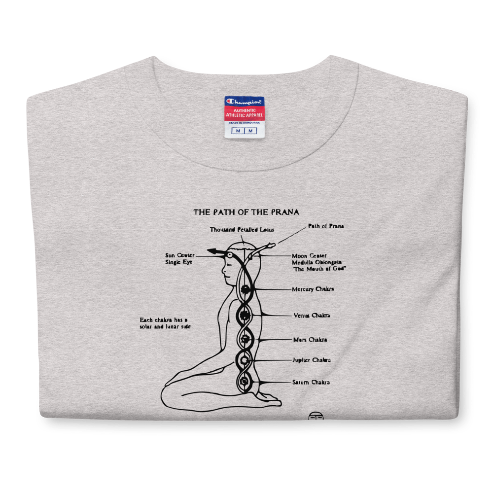 Prana T-Shirt