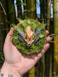 Image 1 of Mink Wall Decor