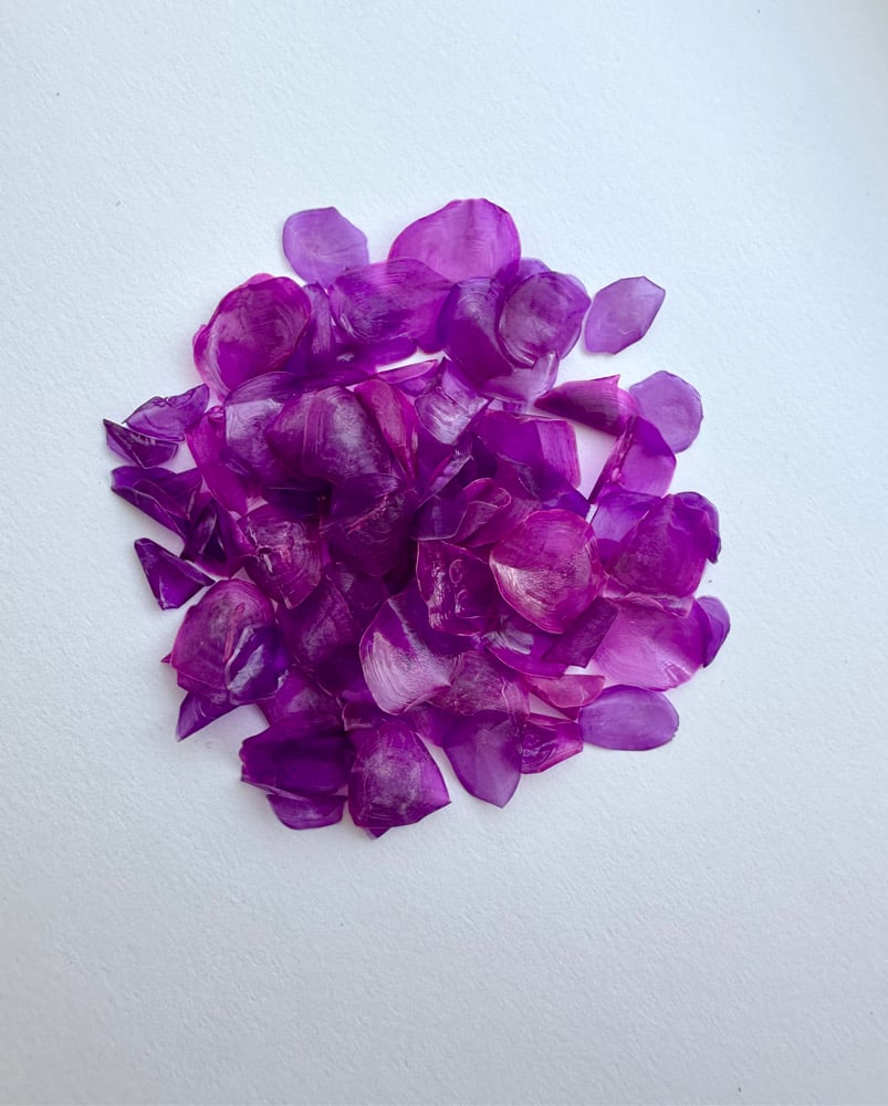 Image of Dyed fish scales - Mixed purple