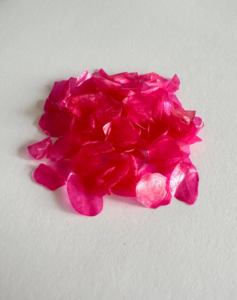 Image of Dyed fish scales - Neon pink