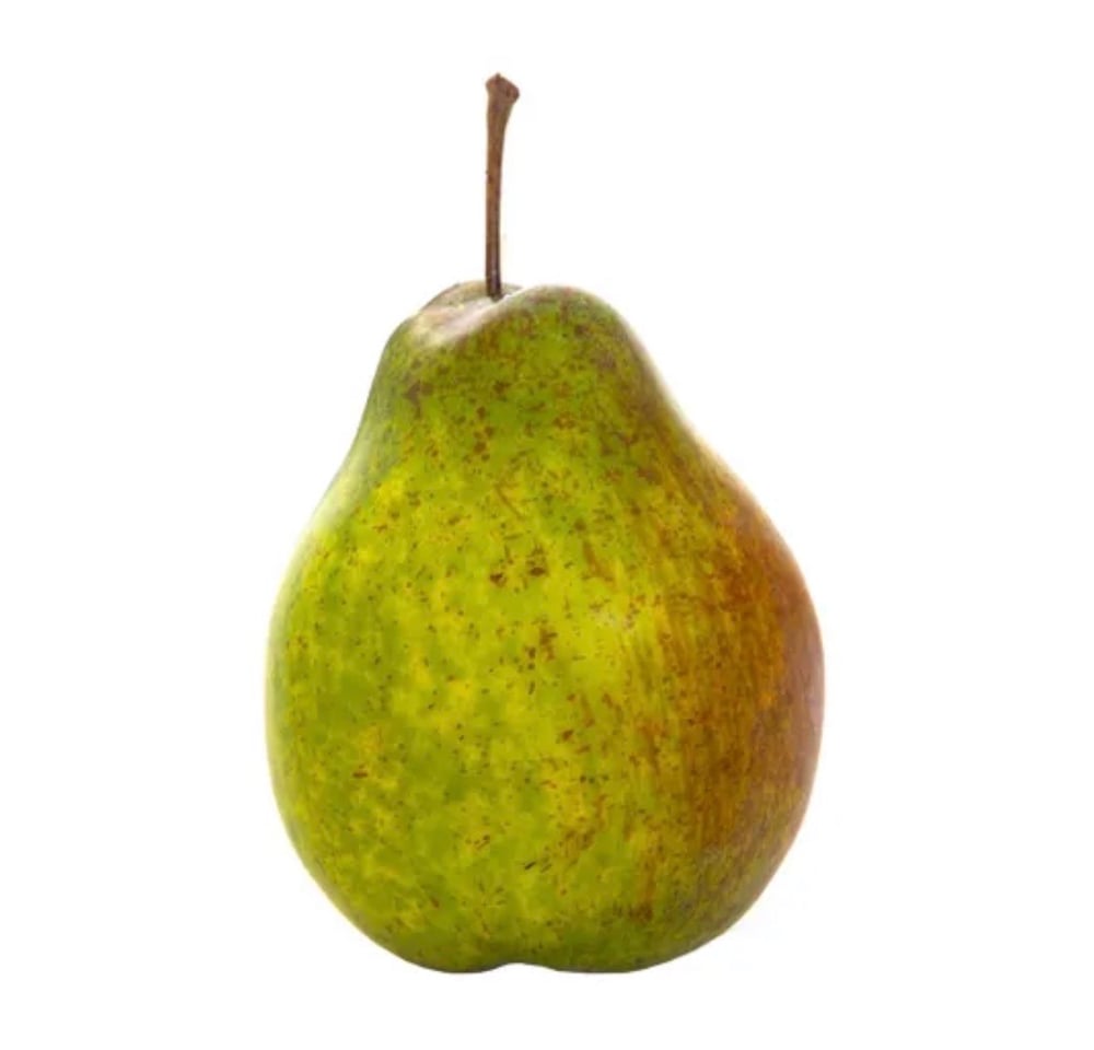 Image of Pear 