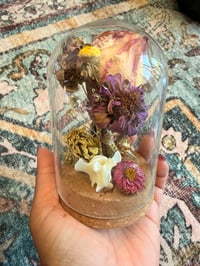 Image 8 of Fox Spine Cloche 