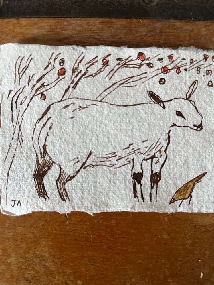 Image of Little sheep and sparrow