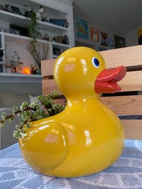 Image 3 of Rainbow Elephant Bush in Yellow Ducky