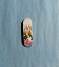 Image 1 of SUNSHINE MELODY 29mm “OSO L1”