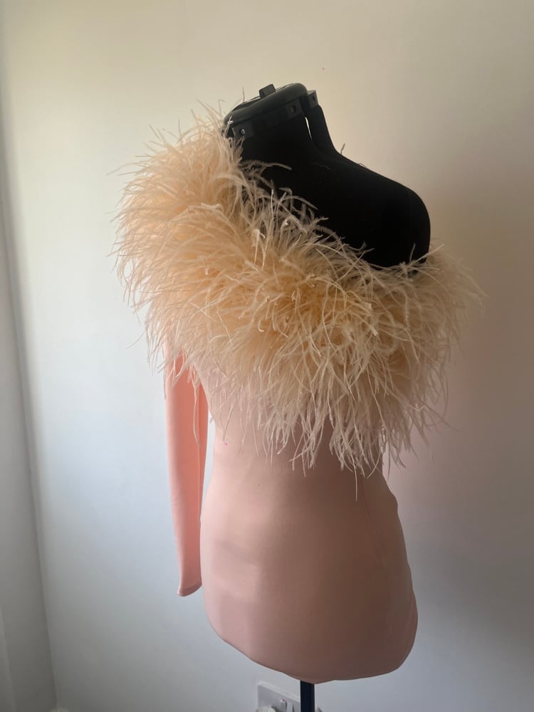 Image of One shoulder ostrich feather dress in peach size 8