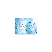 Image 2 of #30