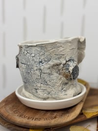 Image 3 of Birch bark Planter (# 5)
