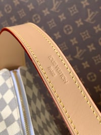 Image 14 of LV Slouchy Bag