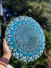 Gratitude for Creation