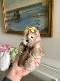 Image 4 of Fluffy Seal