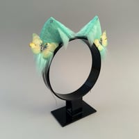 Image 3 of Green Butterfly Kitten