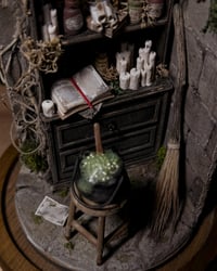 Image 15 of The Witch’s Apothecary