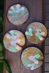 SWEETIE- coaster set