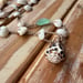Image of Hawaiian puka shell wrap necklace with Hebrew cone clasp