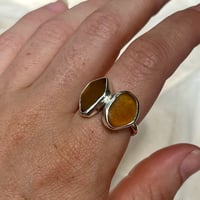 Image 3 of AMBER DUO RING (N)