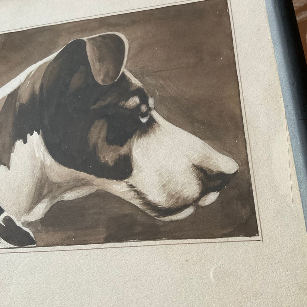 Image of Dog Portrait