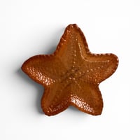 Image 10 of Starfish Trinket Dishes