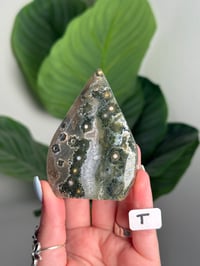 Image 20 of CHOOSE YOUR OWN SEA JASPER FLAME -MADAGASCAR-