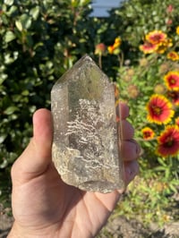Image 5 of Garden Quartz Point 