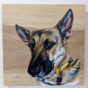 10" x 10" Pet Portrait