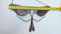 Image 4 of Purple moth