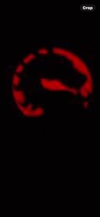 Image 2 of Coldminded blip-red with white metal
