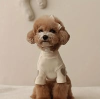 Image 2 of HEART TOP - BEIGE