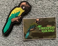 Image 1 of Quad Macaw Patch & Sticker Combo