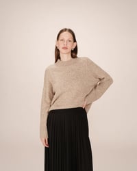 Image 4 of Jersey Salty Arena