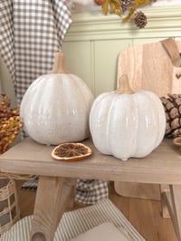 Image 1 of SALE! Rustic White Ceramic Pumpkins ( Set or Singles )