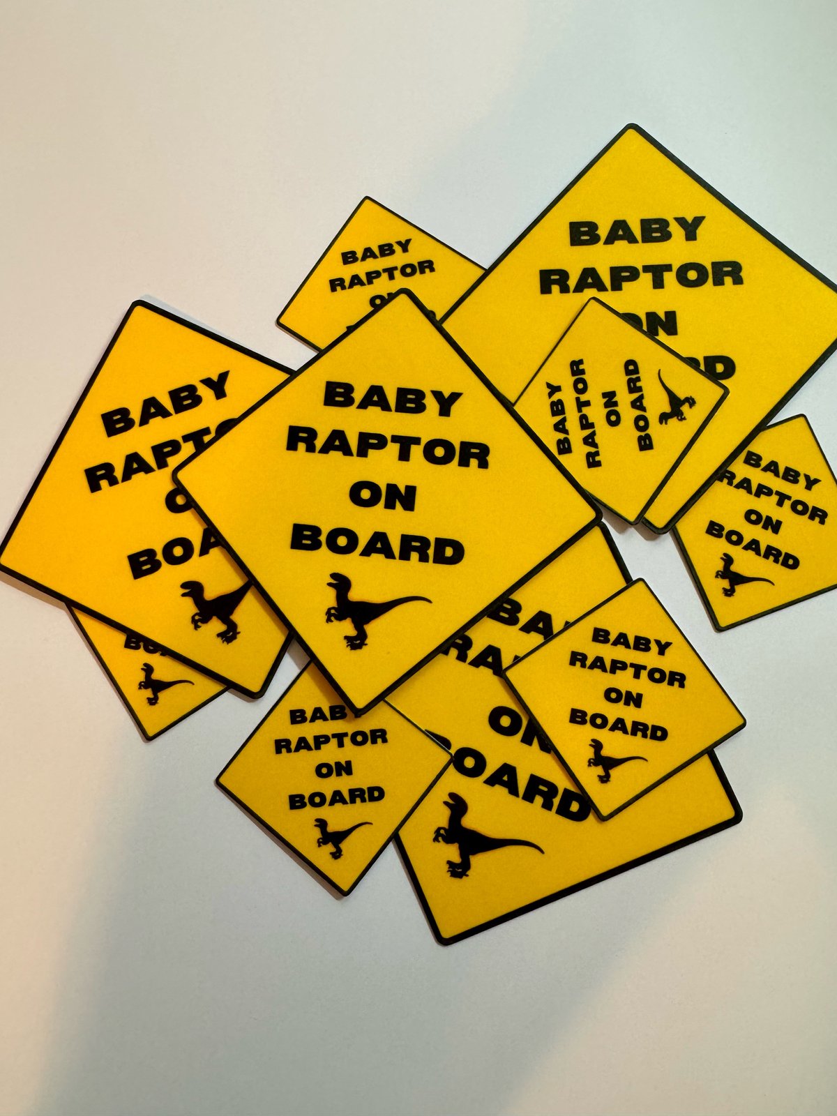Image of Baby Raptor On Board 