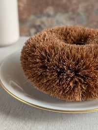 Image 1 of Coconut Scrubbie
