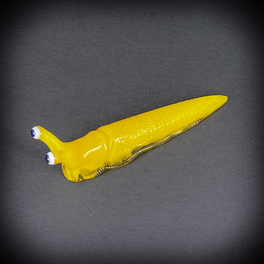 Image of Yellow Boro Slug