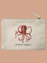 Image 2 of Pochette PIOVRA